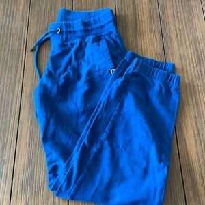 American giant blue sweat pants.
